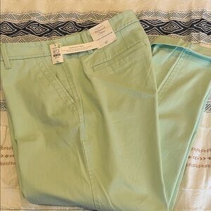 Talbots relaxed Women's Mint Chinos